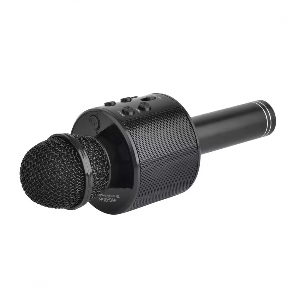 Microfon Karaoke Wireless, Multifunctional, cu Radio, TF Card, USB, Functie de Inregistrare, Efecte Vocale - Negru [2]