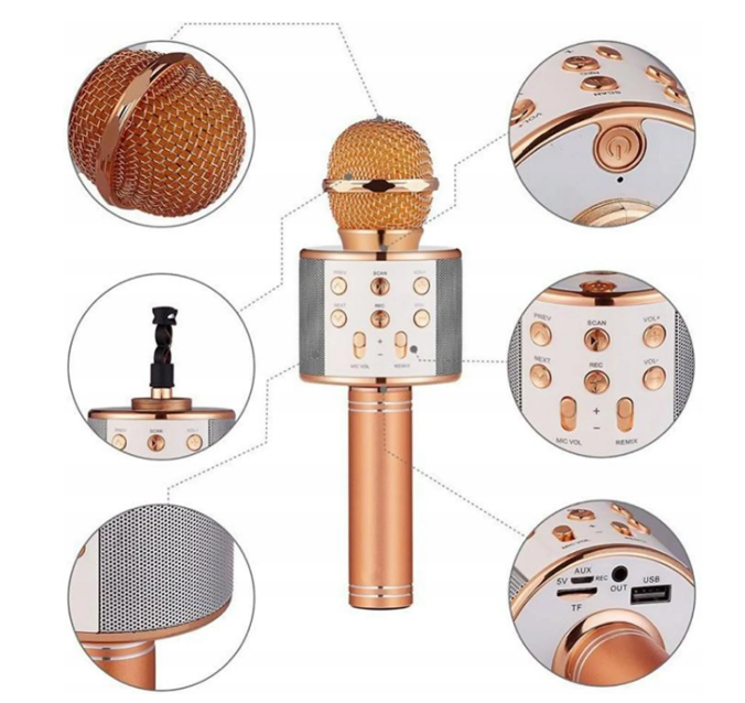 Microfon Karaoke Wireless, Multifunctional, cu Radio, TF Card, USB, Functie de Inregistrare, Efecte Vocale - Rose Gold [8]