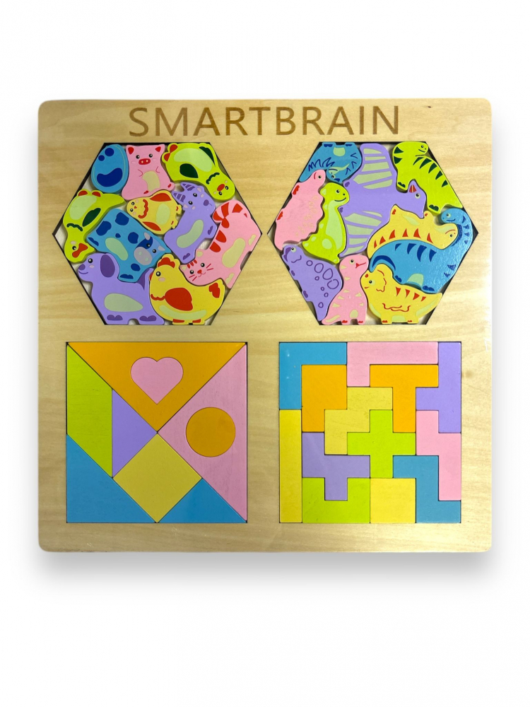Set 2 Jocuri Montessori, Educative, Forme din Lemn, 30 x 30 cm [2]