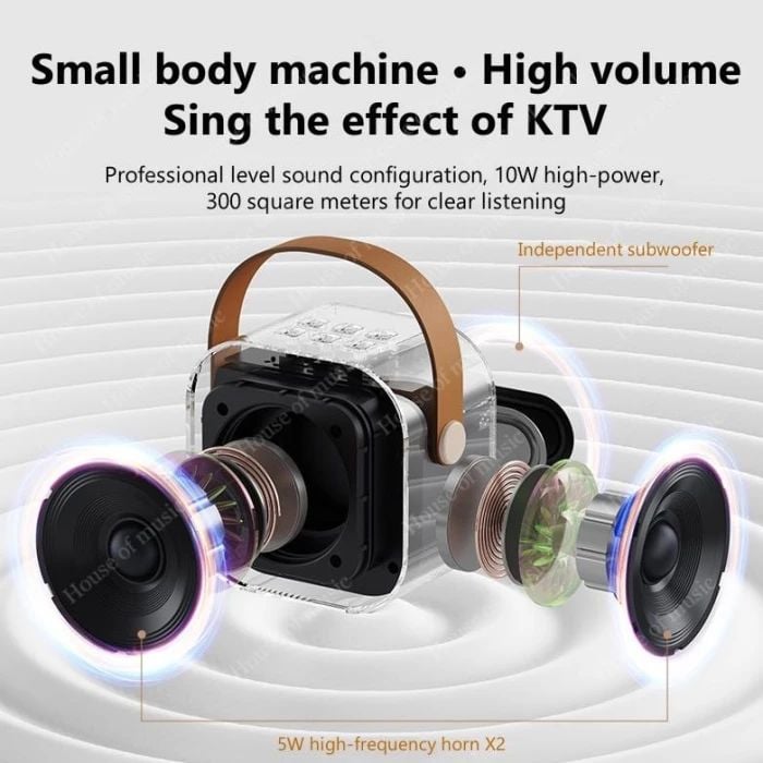 Set 2 Microfoane Karaoke cu Boxa Portabila, Culori LED, Wireless, Bluetooth, Efecte Vocale, Mp3 - Albastru [4]