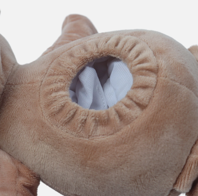 Ursuleț și Cățel Muzical cu Proiecție de Stele, 25 cm, Lumină si Muzica Calda, Funcționează pe Baterii [8]