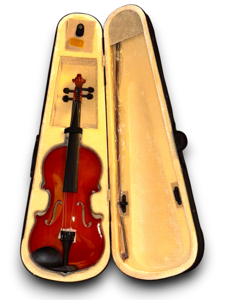 Vioară 4/4 Semi-Profesională, 60 cm, cu Arcus, Rășină și Husă de Protecție – Calitate Premium [10]