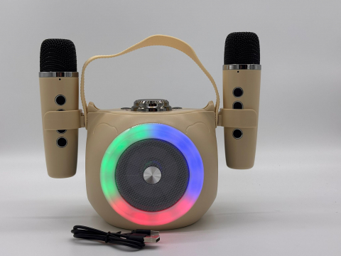 Boxă Karaoke cu 2 Microfoane Wireless, Lumini RGB, Bluetooth 5.4 – Calitate Audio Premium [8]