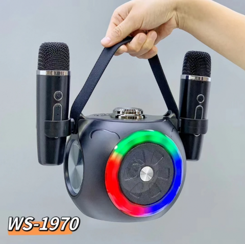 Boxă Karaoke cu 2 Microfoane Wireless, Lumini RGB, Bluetooth 5.4 – Calitate Audio Premium [1]