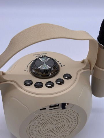 Boxă Karaoke cu 2 Microfoane Wireless, Lumini RGB, Bluetooth 5.4 – Calitate Audio Premium [4]