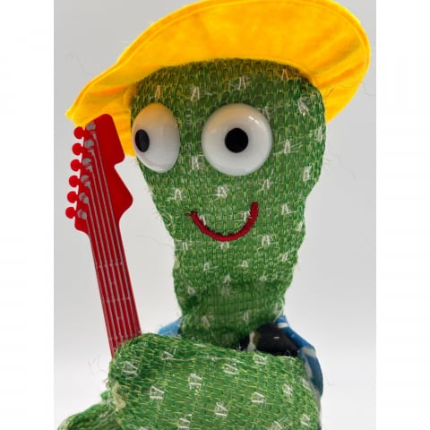 Cactus Vorbitor si Dansator, Repeta dupa Tine, Canta si Danseaza [1]