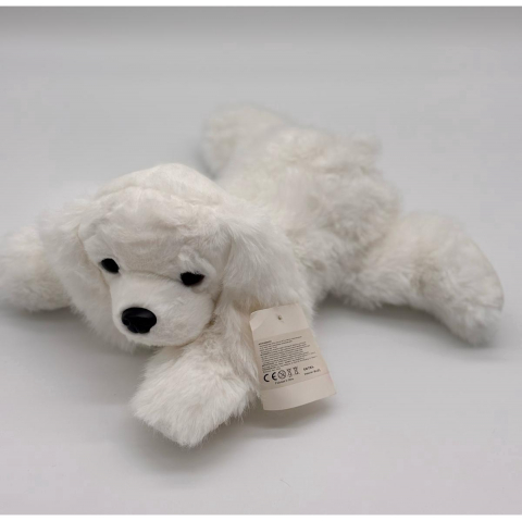 Catelus de Plus Bichon, 30 cm [1]