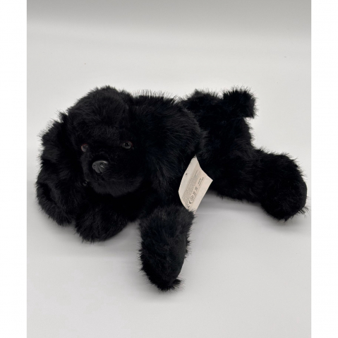 Catelus de Plus Bichon, 30 cm [2]