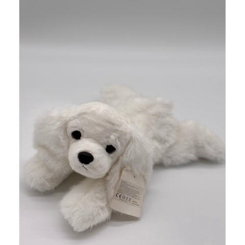 Catelus de Plus Bichon, 30 cm [2]