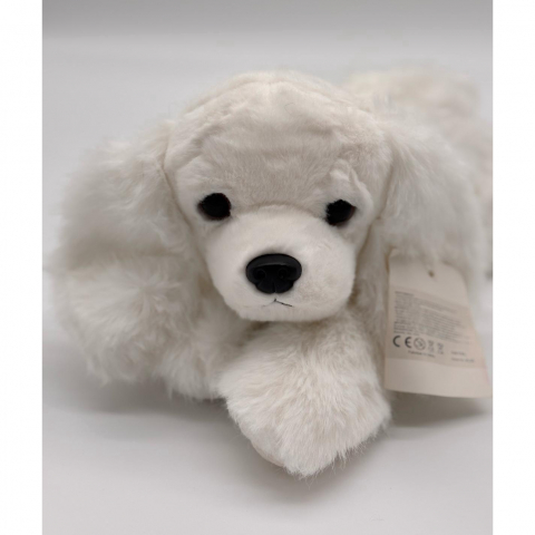 Catelus de Plus Bichon, 30 cm [6]