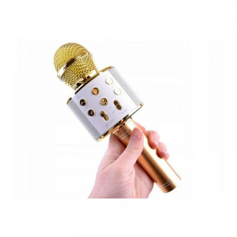 Microfon Karaoke Wireless, Multifunctional, cu Radio, TF Card, USB, Functie de Inregistrare, Efecte Vocale - Auriu [3]