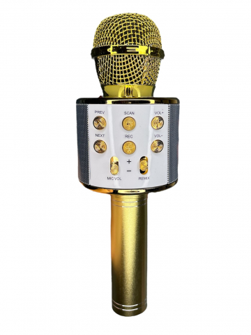 Microfon Karaoke Wireless, Multifunctional, cu Radio, TF Card, USB, Functie de Inregistrare, Efecte Vocale - Auriu [1]
