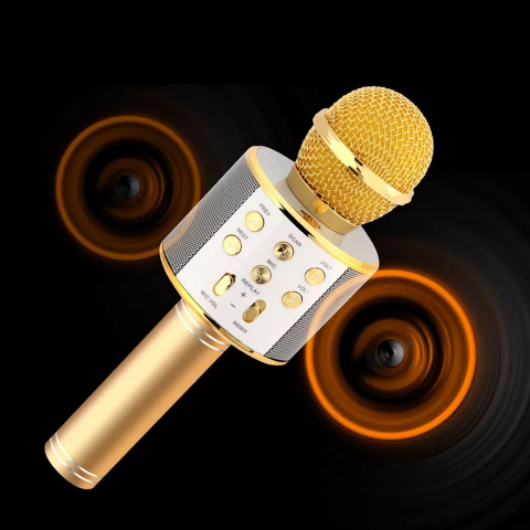 Microfon Karaoke Wireless, Multifunctional, cu Radio, TF Card, USB, Functie de Inregistrare, Efecte Vocale - Auriu [4]