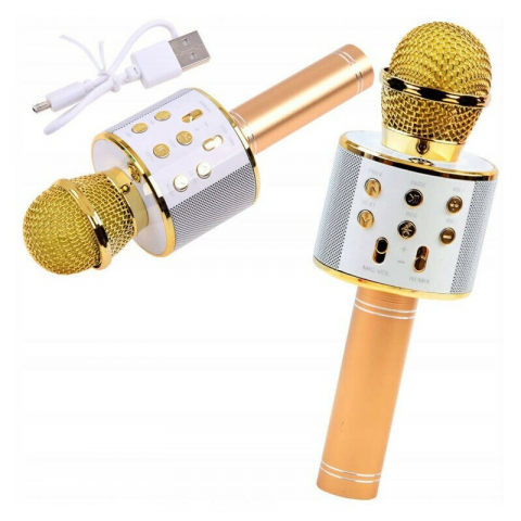 Microfon Karaoke Wireless, Multifunctional, cu Radio, TF Card, USB, Functie de Inregistrare, Efecte Vocale - Auriu [0]