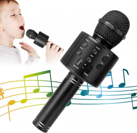Microfon Karaoke Wireless, Multifunctional, cu Radio, TF Card, USB, Functie de Inregistrare, Efecte Vocale - Negru [0]