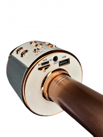 Microfon Karaoke Wireless, Multifunctional, cu Radio, TF Card, USB, Functie de Inregistrare, Efecte Vocale - Rose Gold [6]