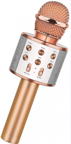 Microfon Karaoke Wireless, Multifunctional, cu Radio, TF Card, USB, Functie de Inregistrare, Efecte Vocale - Rose Gold [0]