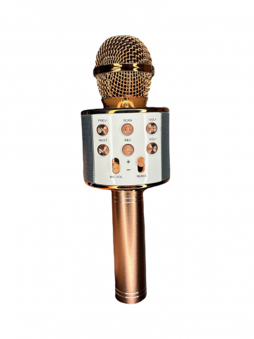 Microfon Karaoke Wireless, Multifunctional, cu Radio, TF Card, USB, Functie de Inregistrare, Efecte Vocale - Rose Gold [5]
