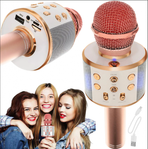Microfon Karaoke Wireless, Multifunctional, cu Radio, TF Card, USB, Functie de Inregistrare, Efecte Vocale - Rose Gold [1]