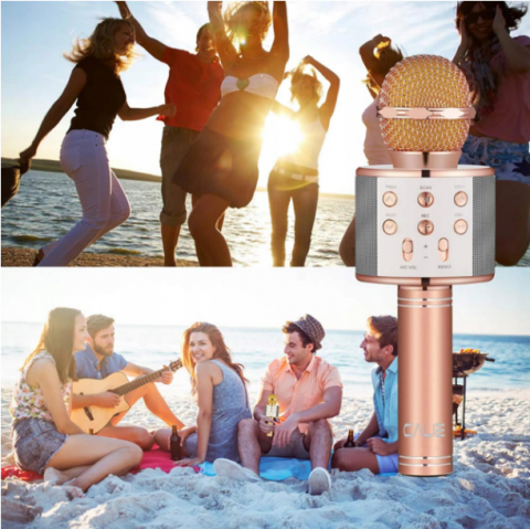 Microfon Karaoke Wireless, Multifunctional, cu Radio, TF Card, USB, Functie de Inregistrare, Efecte Vocale - Rose Gold [3]