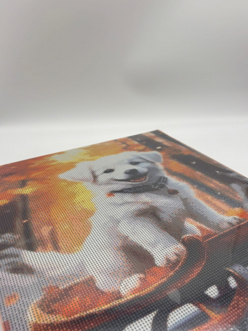 Tablouri pentru Pictat cu Diamante, Goblen cu pietre 5D, cu rama de lemn, 40 x 50 cm [6]