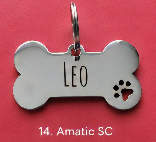 Pandantiv personalizat pentru animale de companie [4]