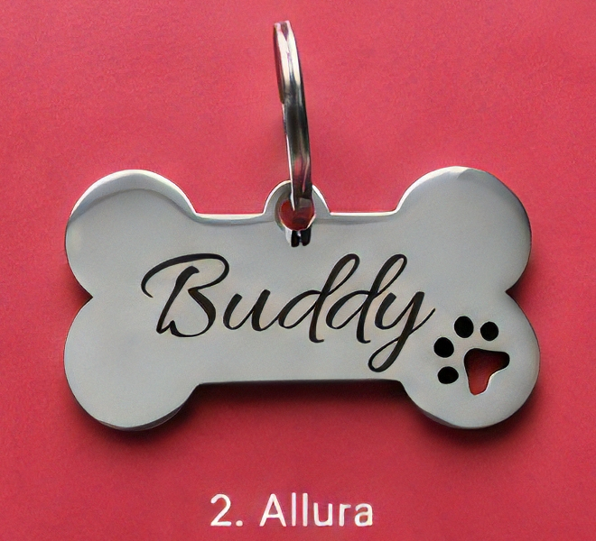 Pandantiv personalizat pentru animale de companie [7]