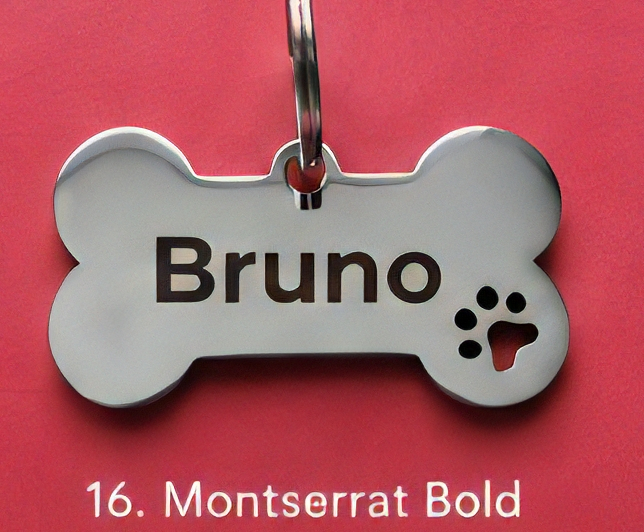 Pandantiv personalizat pentru animale de companie [11]