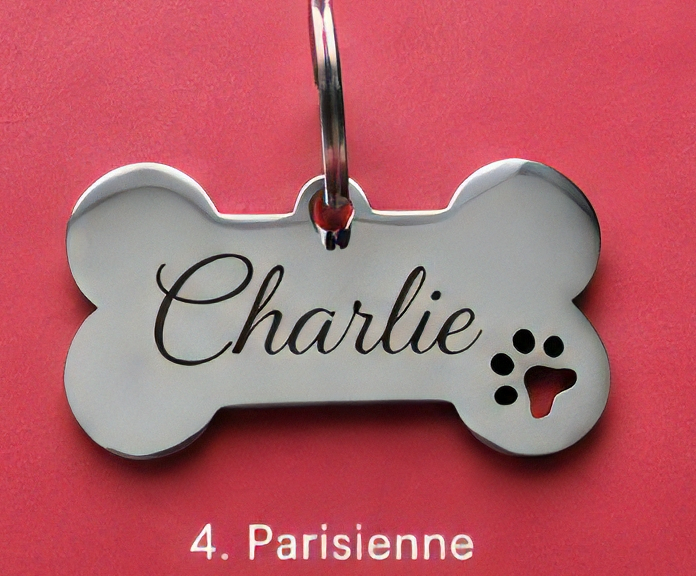 Pandantiv personalizat pentru animale de companie [9]