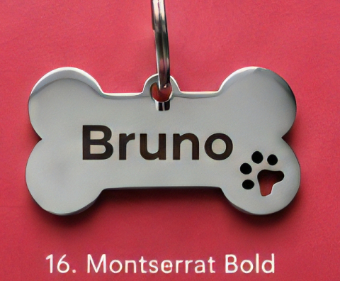 Pandantiv personalizat pentru animale de companie [10]
