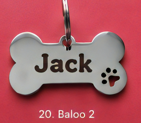 Pandantiv personalizat pentru animale de companie [11]