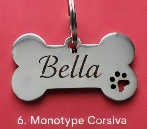 Pandantiv personalizat pentru animale de companie [2]