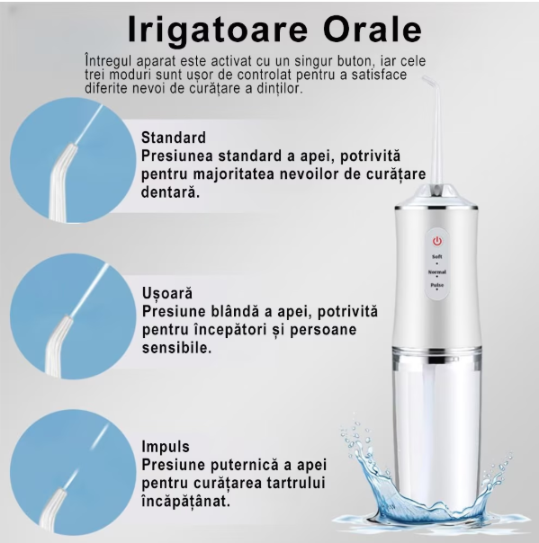 Irigator Oral Portabil, 3 Moduri de Jet (Soft, Normal, Pulse), Rezervor 230ml, 4 Duze, Incarcare USB, Impermeabil IPX7, Ideal pentru Igiena Dentara Zilnica, Verde [2]