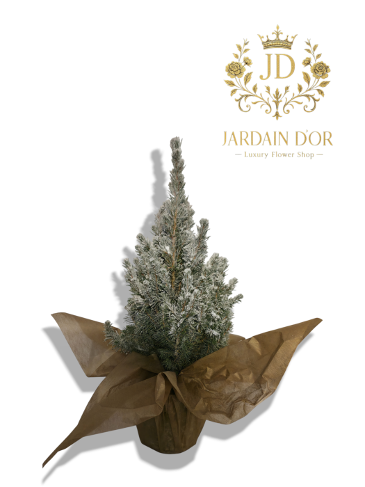  Mini Brad Decorativ Înzăpezit (Ediție de Iarnă) [2]