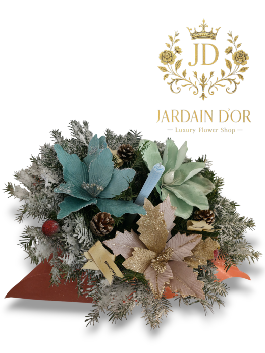 Aurora de Iarnă [2]