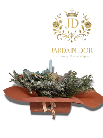 Origin - Aurora de Iarnă