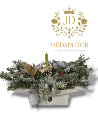 Origin - Mătasea zăpezii