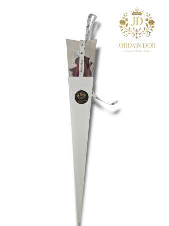 Origin - Élise Royale