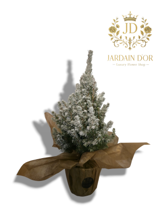 Produse -  Mini Brad Decorativ Înzăpezit (Ediție de Iarnă)