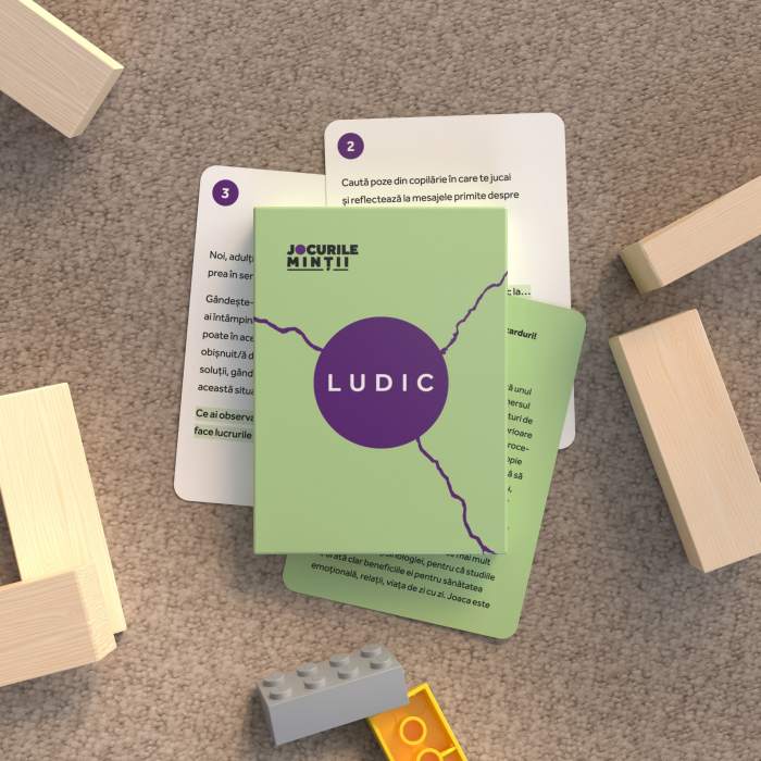 LUDIC - 31 de exerciții de conectare cu copilul interior [3]