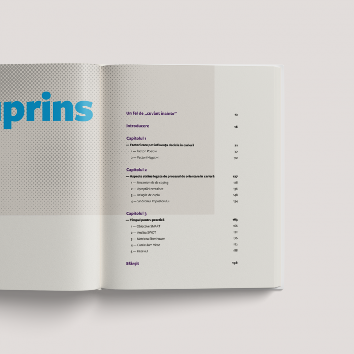 Carieră cu sens - Jurnal cu 200 de pagini de exerciții, chestionare, întrebări și introspecții [3]