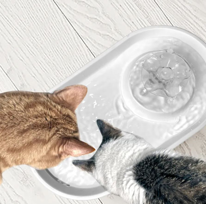 Dispenser automat apa animale tip fantana, sistem filtrare 5 nivele, conexiune aplicatie Tuya, zgomot redus, 2.8L, Alb [7]