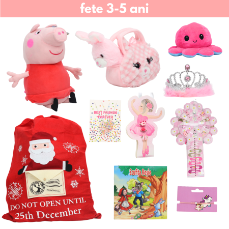 Saci de jucării  fete - Sac de jucării 2 fete 3-5 ani