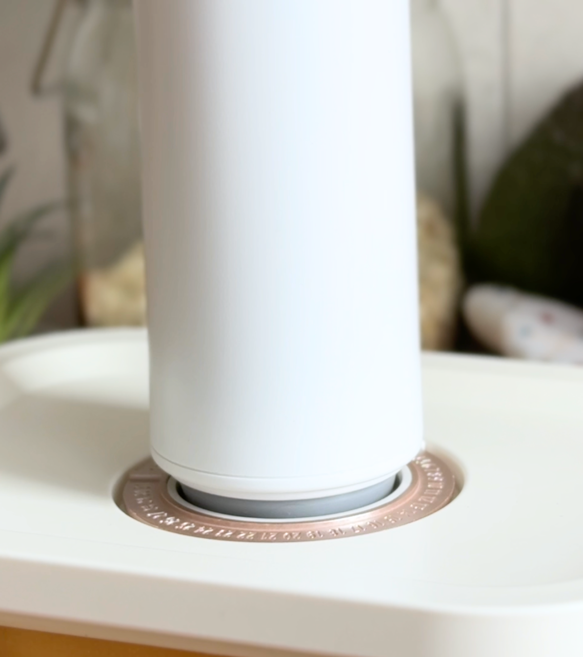 Set Complet Kali Home - Caserole si pungi de vidare [4]