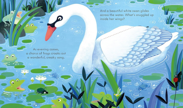 Carte cu ilustratii. Usborne peep inside. The Pond [2]
