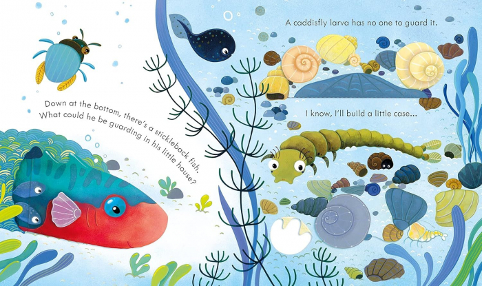 Carte cu ilustratii. Usborne peep inside. The Pond [3]