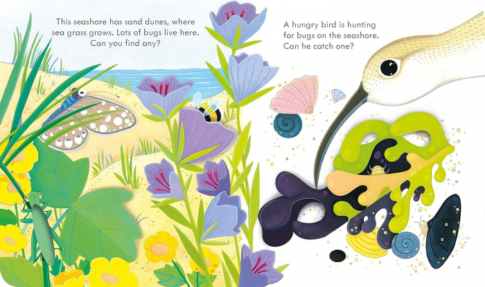 Carte cu ilustratii. Usborne peep inside. The Seashore [4]