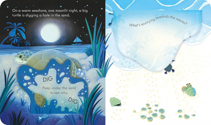 Carte cu ilustratii. Usborne peep inside. The Seashore [2]
