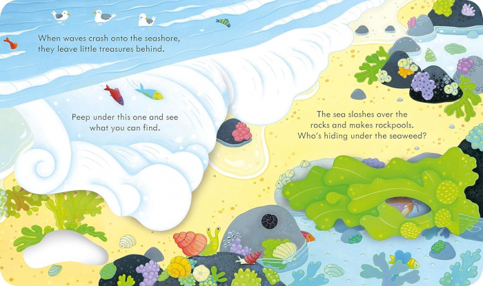 Carte cu ilustratii. Usborne peep inside. The Seashore [3]