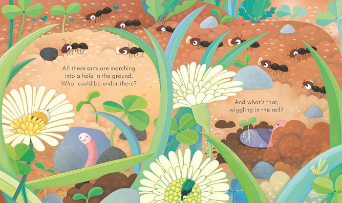 Carte cu ilustratii. Usborne peep inside. Under the Ground [3]